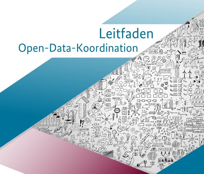 Leitfaden: Open-Data-Koordination Metadaten